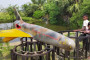 Andaman and Nicobar Command conducts joint services exercise