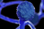 Improving the quality of higher education and research