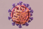 UK reports another 48,161 daily coronavirus cases