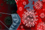 Bangladesh Govt to procure 11cr syringes for running COVID-19 vaccination