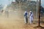 There are no safe levels of lead pollution in the human body