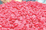 Bangladesh, Tanzania agree to cooperate in agro sector