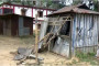 Congress condemns police action against lawyers, activists over Tripura violence