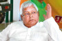 Odisha: State Registers 78.6% In Third Phase Of Local Body Elections
