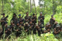 Tripura infiltration of armed NLFT ultras sends police department into ‘tizzy’
