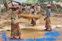 Rohu and katla get costlier, hilsa sells cheaper in Kolkata markets