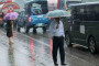 Dengue death toll rises to 56; 635 more hospitalised