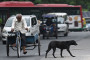 576 killed in 505 road accidents in July: Report