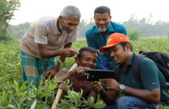BD: Shaping the future of agriculture using digital support & solutions