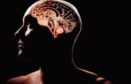 COVID-19 can cause brain shrinkage, memory loss: Oxford study