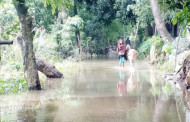 Flood damages 552 km roads, 8 bridges in Sunamganj