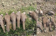 50 spotted doves poisoned to death in Chandpur; Probe on