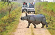 Kaziranga National Park launches online ticket booking for tourists