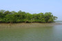 Sundarbans to be a new district soon: Mamata Banerjee