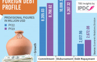 Foreign loan disbursements fall 7.4% YoY