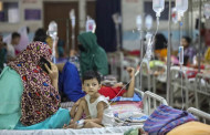 Eight more die of dengue, 2,350 hospitalised in 24 hours