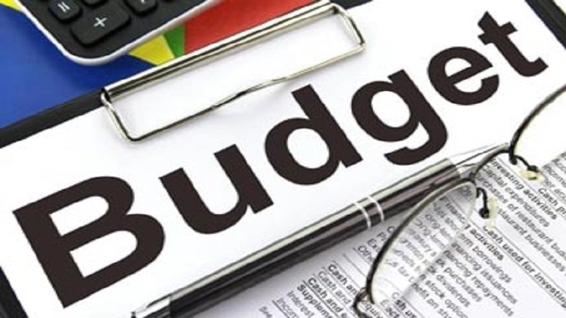 Budget should strengthen health, social security sectors; Economists