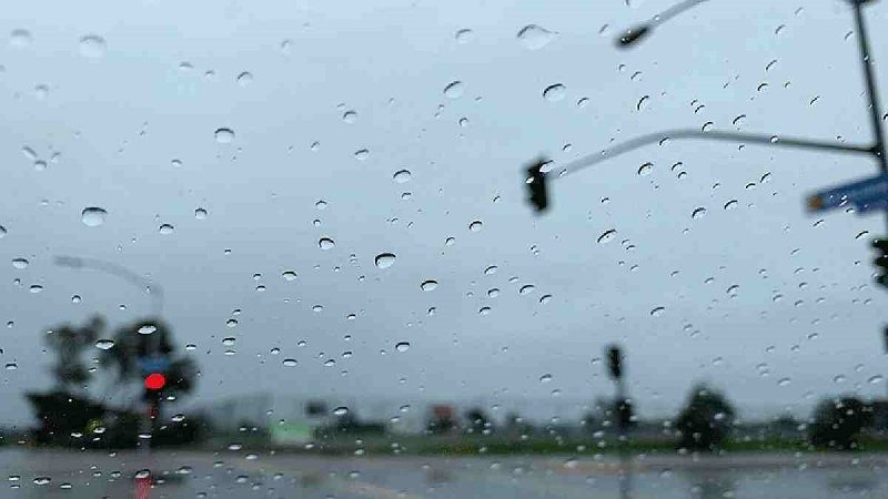 Light to moderate rain, thundershowers likely