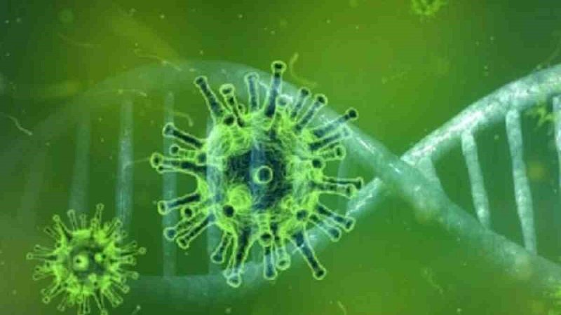 Bangladeshi coronavirus similar to European sources: BCSIR