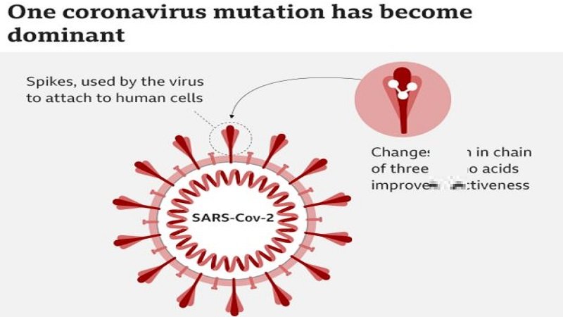 Are mutations making coronavirus more infectious?