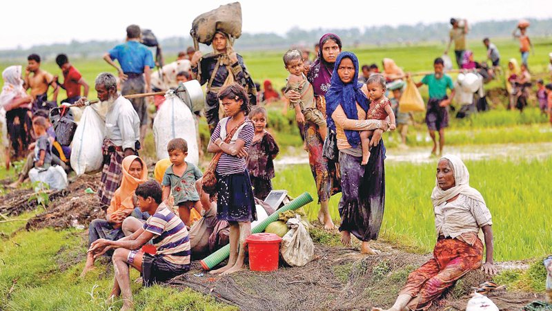 UNHCR calls for lasting solutions of Rohingya crisis