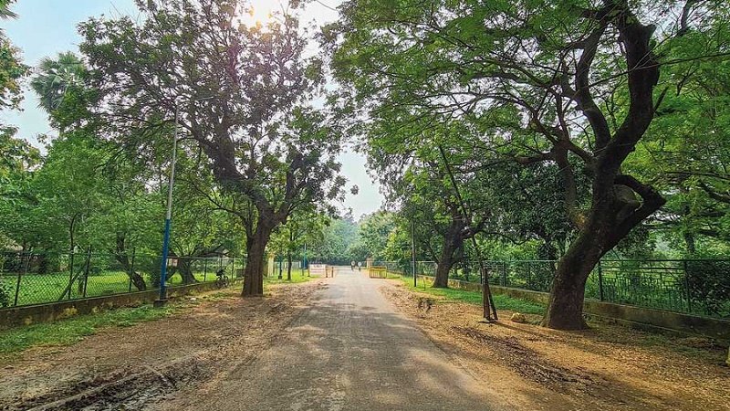 Plea to West Bengal to take back road that was handed over to Visva-Bharati in 2017