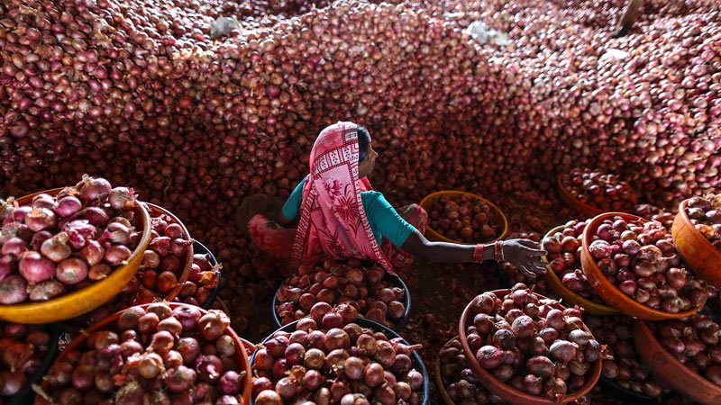 Iran considering onion export to Bangladesh