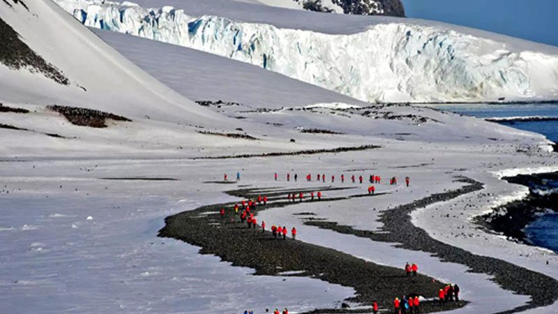 Antarctic Peninsula at warmest in decades: Study