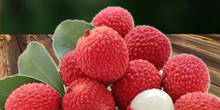 Assam: Tezpur Litchi gets GI tag