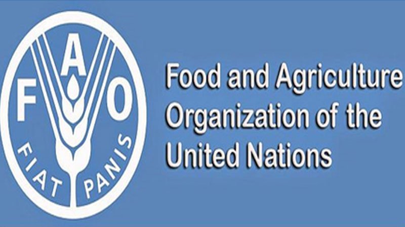 Bangladesh elected as FAO Council member | The Great Bengal Today