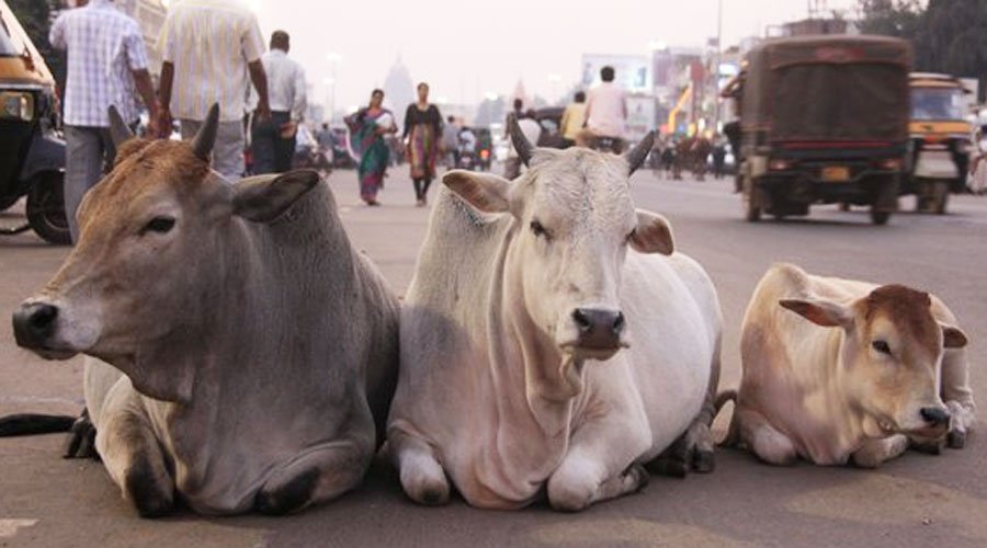 BJP-led Assam government tables bill to ban cow slaughter