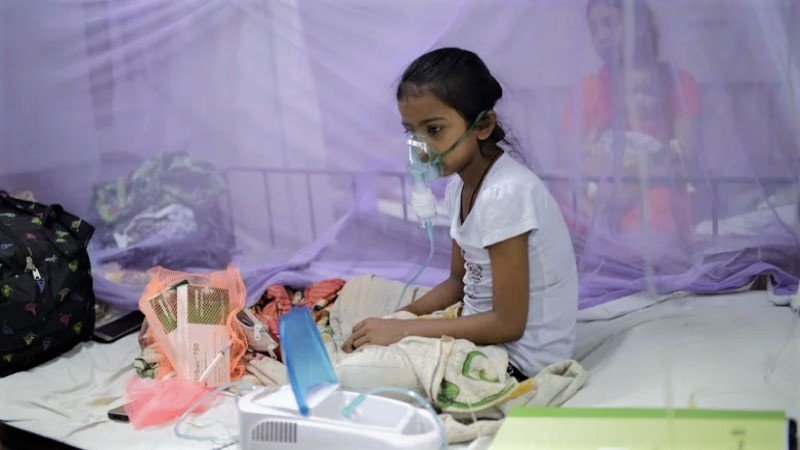 Dengue in Bangladesh: 123 more hospitalised, no deaths in 24 hours