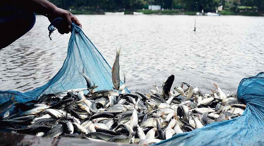 Odisha: Balasore was awarded as the Best Marine District in the country at World Fisheries Day Celebration