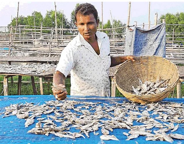 Fishermen's make-shift life on Dublar Char