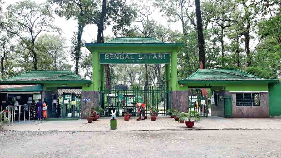 Nod to West Bengal Safari Park to keep kangaroos, monkeys The Great