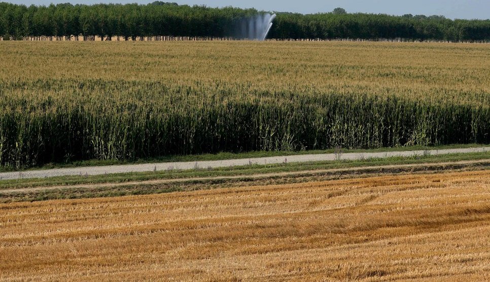 Nearly half of EU territory 'at risk' of drought