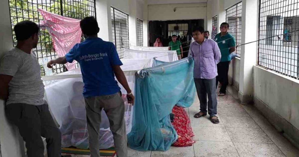 Dengue death toll rises to 56; 635 more hospitalised