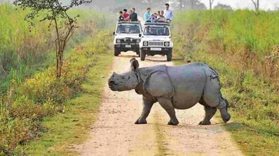 Kaziranga National Park launches online ticket booking for tourists