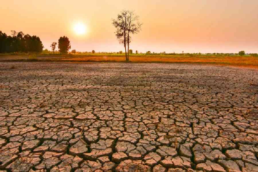 Odisha: Sizzles, IMD forecasts heat spell for next 5 days