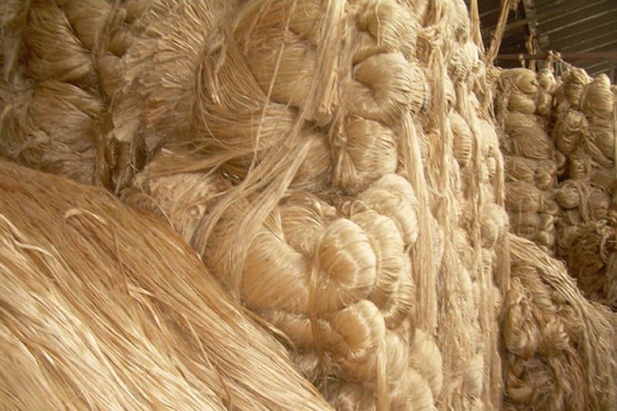 Bangladesh exports jute, jute goods to $1.2 bn