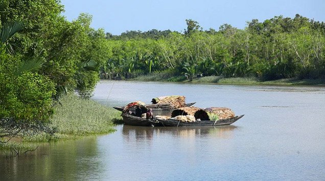 3-month ban on fishing, tourism in Sundarbans from 1 June