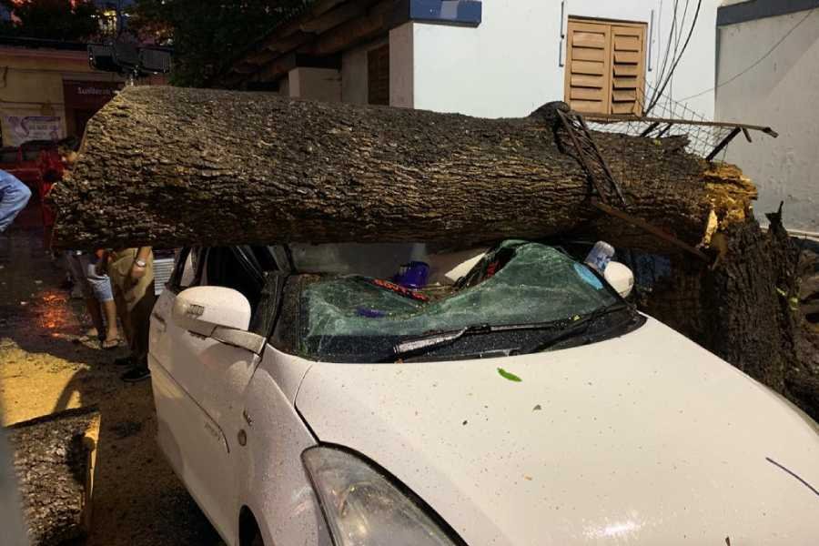 Season’s first Nor’wester left trees uprooted in Kolkata; trains and flights disrupted