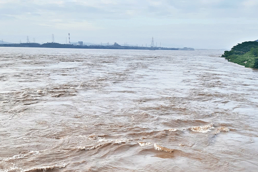 Odisha: State fears ‘medium’ flood, alerts districts in Mahanadi delta area