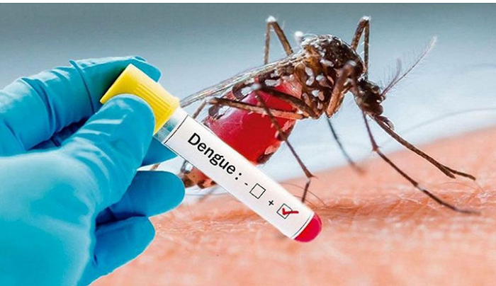 Deaths from dengue now cross 700