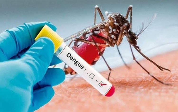 7 more die of dengue, 1787 hospitalized