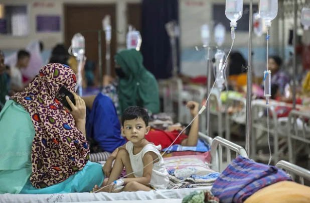 Eight more die of dengue, 2,350 hospitalised in 24 hours