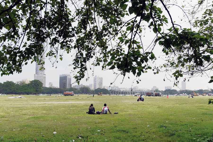 Calcutta High Court restricts tree uprooting for Victoria metro station in Maidan area