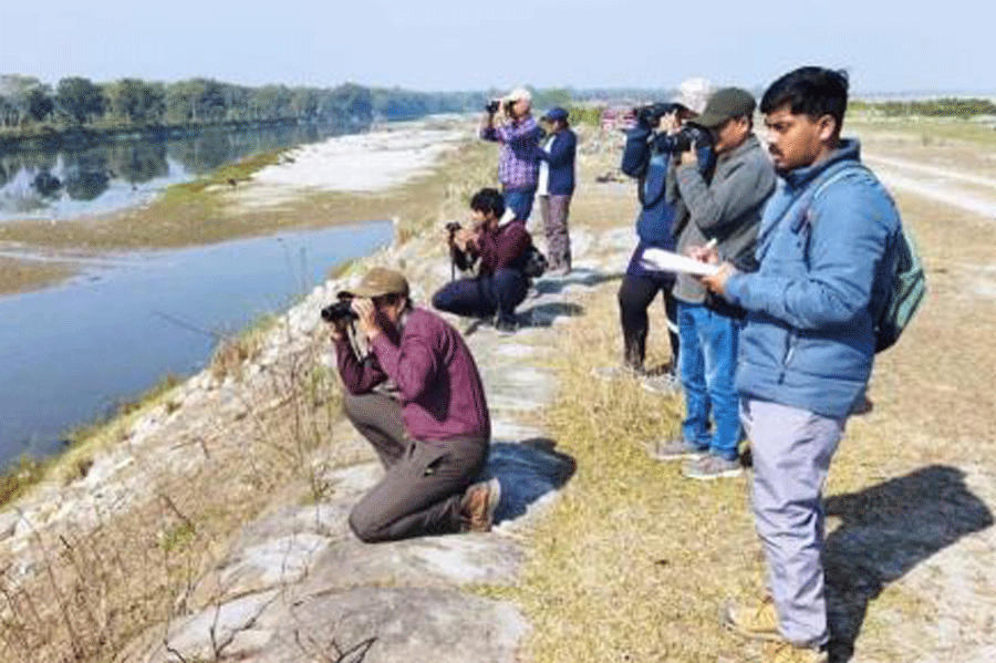 North Bengal: Ornithologists express fears of drop in turnout of migratory birds