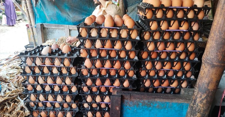 Two firms fined Tk 3.50cr for egg price manipulation