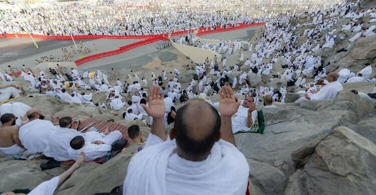 Muslim pilgrims pray on Mount Arafat in hajj climax